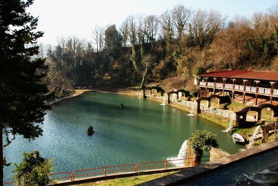 Foto Parco Laghi Dei Reali Foto Parco Laghi Dei Reali