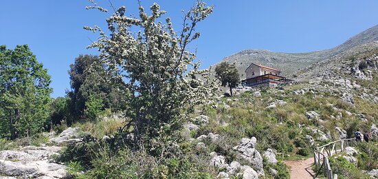 Foto Il Rifugio Pornito Foto Il Rifugio Pornito
