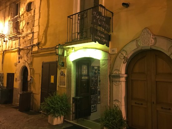 Foto Il Gatto e la Volpe Foto Il Gatto e la Volpe