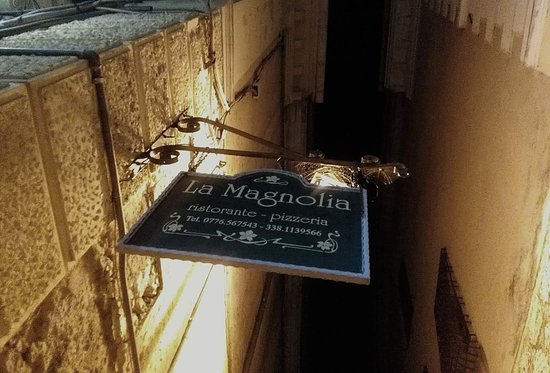 Foto La Magnolia Foto La Magnolia