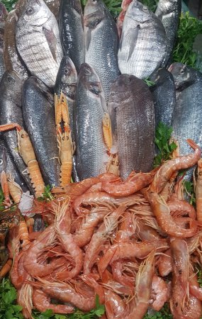 Foto Ristopescheria Di Biase Pesca Foto Ristopescheria Di Biase Pesca