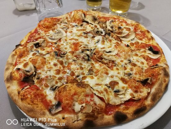Foto Al 16 Rosso Ristorante Pizzeria Wine Bar Foto Al 16 Rosso Ristorante Pizzeria Wine Bar