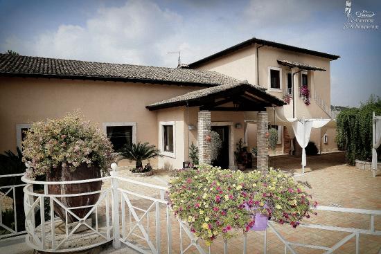Foto Tenuta degli Alfei Foto Tenuta degli Alfei