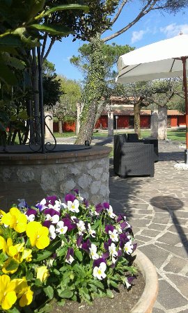 Foto Ristorante La Pineta Foto Ristorante La Pineta