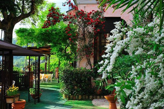 Foto Ristorante Belvedere Foto Ristorante Belvedere
