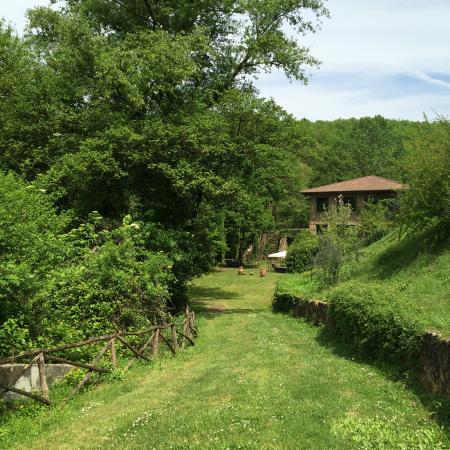 Foto Tenuta di Vico Moricino Agriturismo Giudici Foto Tenuta di Vico Moricino Agriturismo Giudici